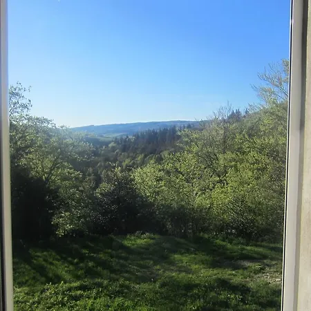 Maison Au Milieu De La Foret Labastide-Rouairoux Zimmer foto