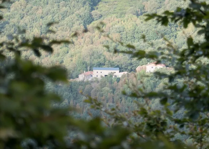 Maison Au Milieu De La Foret