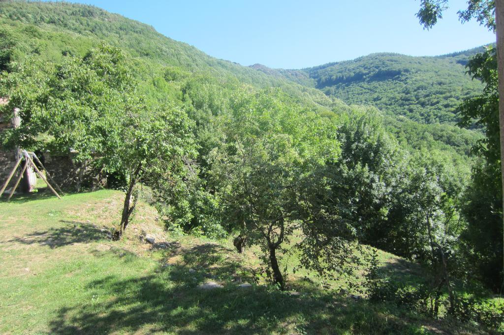 Holiday home Maison Au Milieu De La Foret *