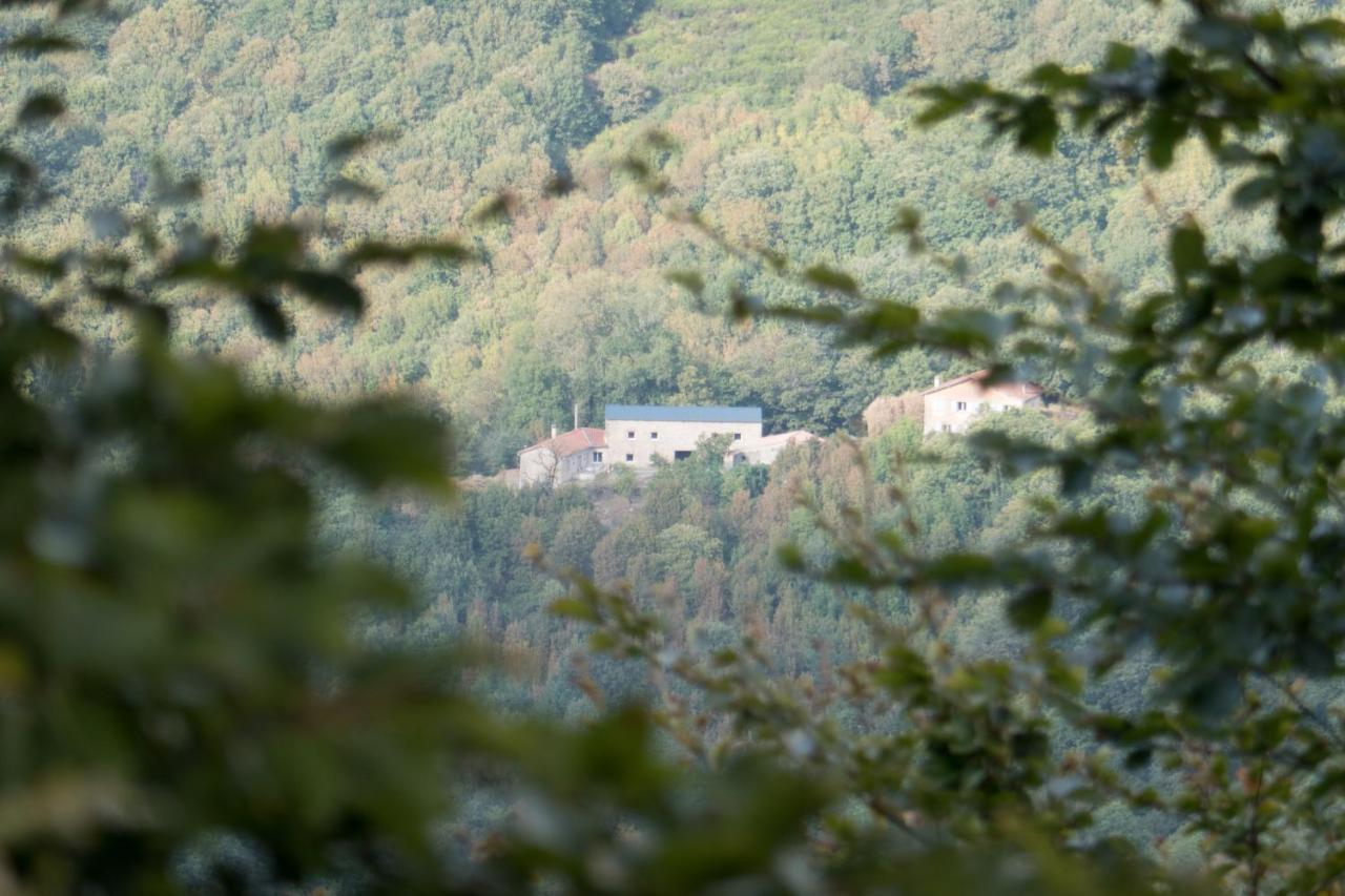 Maison Au Milieu De La Foret *