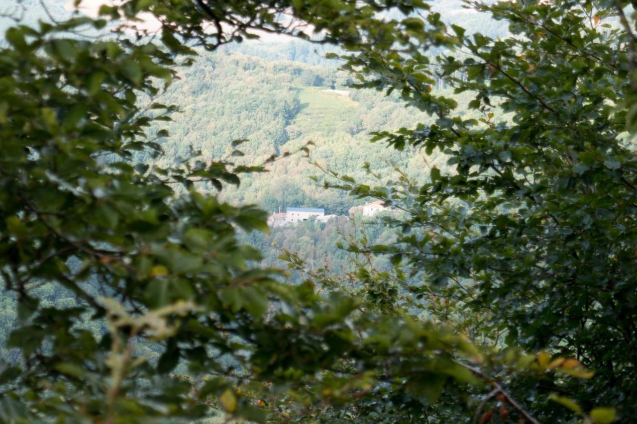 Hébergement de vacances Maison Au Milieu De La Foret