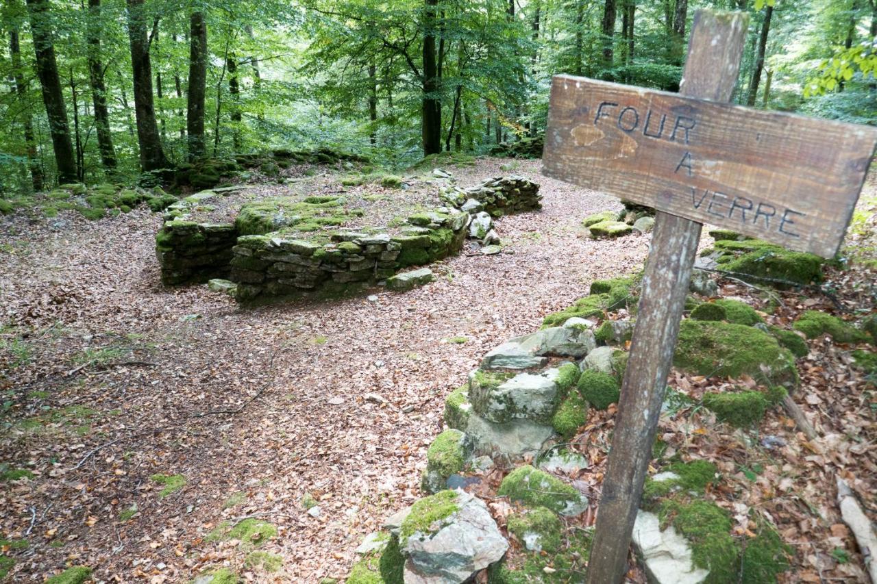 Maison Au Milieu De La Foret