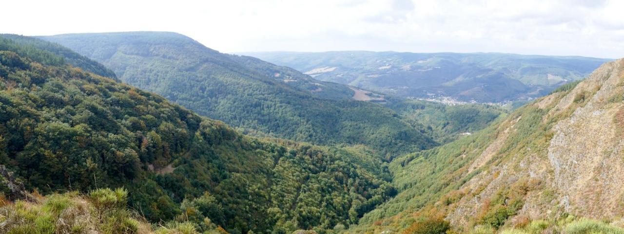 Hébergement de vacances Maison Au Milieu De La Foret Labastide-Rouairoux